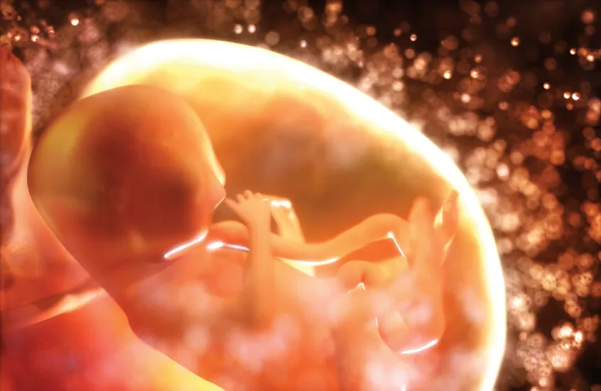 دراسة علمية تكشف تواصلاً خفياً بين الجنين والرحم يؤثر في نجاح الحمل